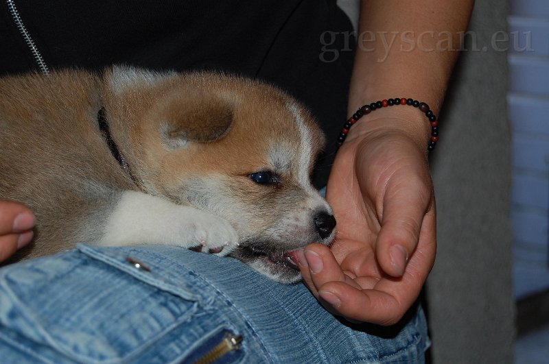 22 taky si tu paničku ochutnám.jpg